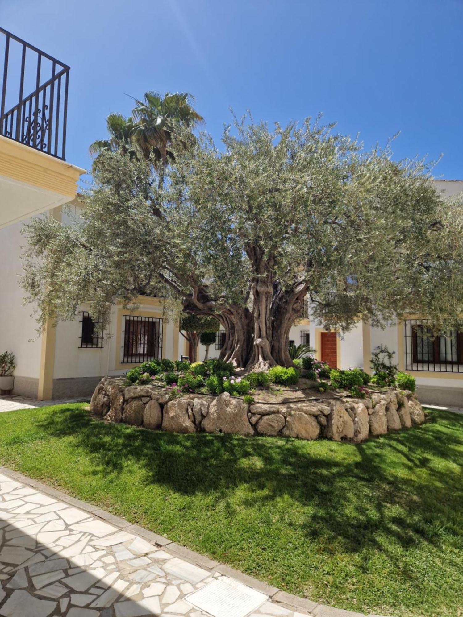 Apartamento Esquina Verde En Vera Coast Playas de Vera Екстериор снимка